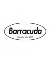 Barracuda